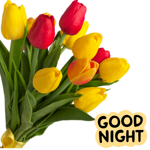Красивые картинки с цветами для пожелания спокойной ночи